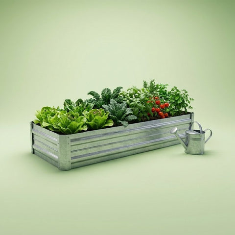 Outdoor & Garden