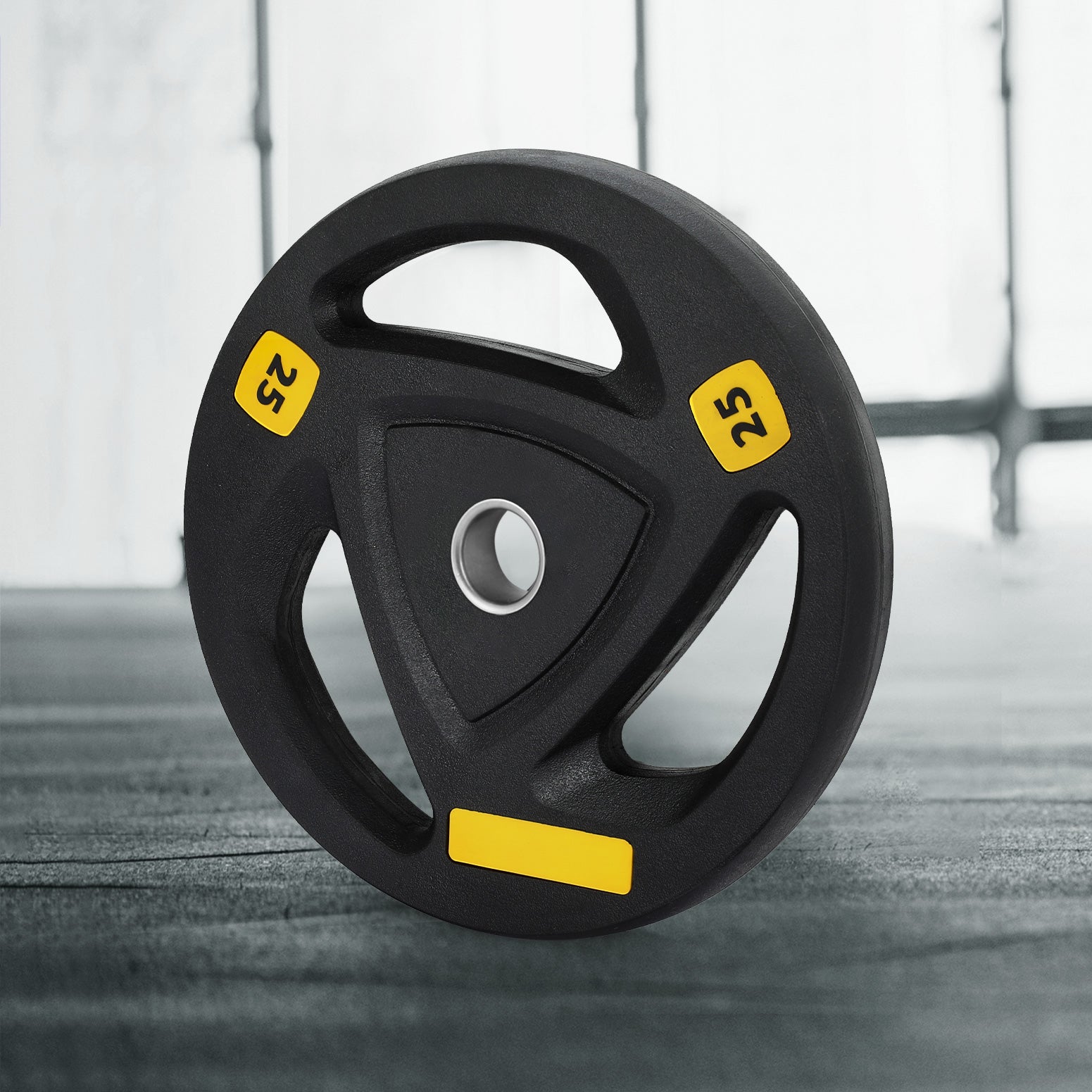 Everfit 25kg Weight Plate Rubber Coated Black