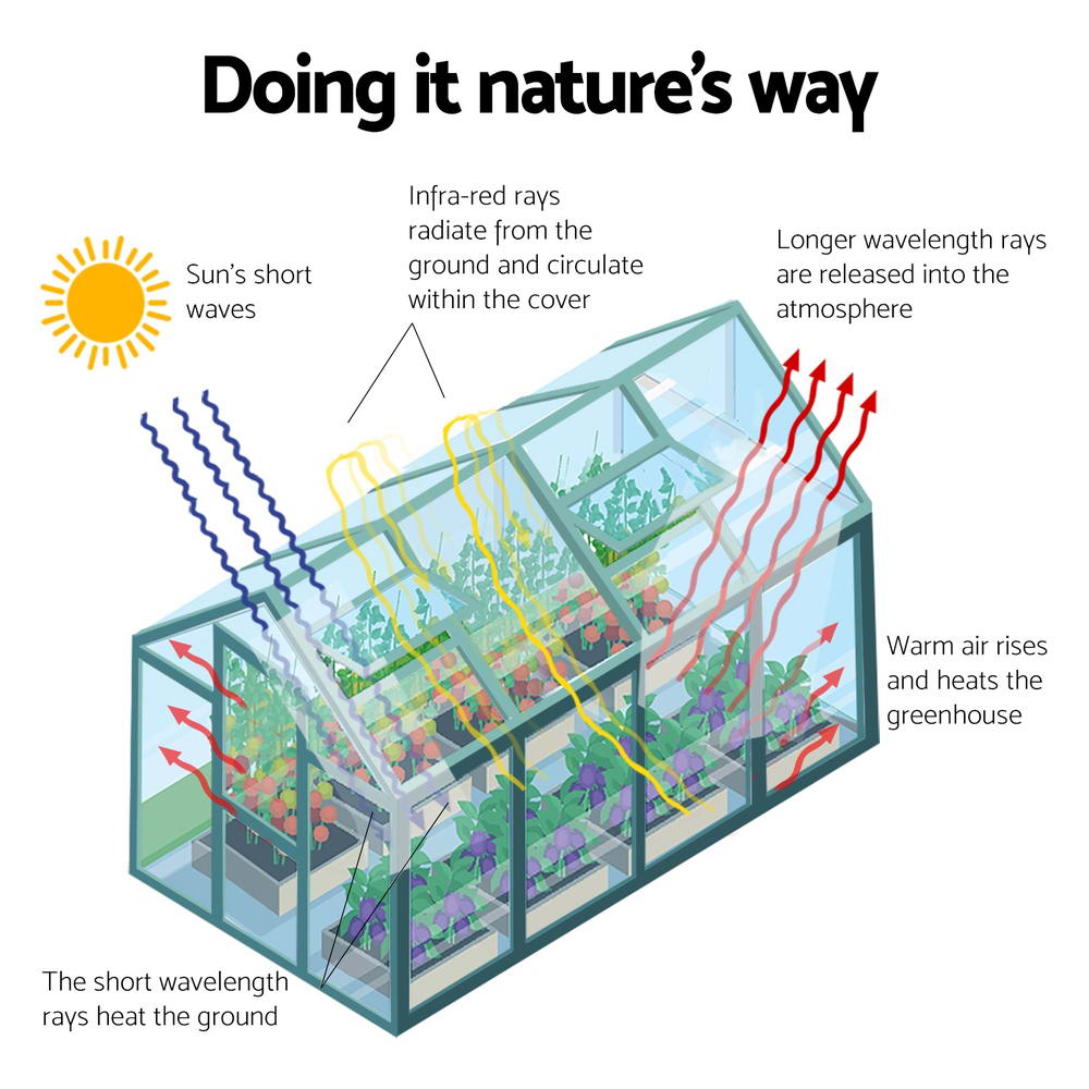 Green Fingers 6.3x2.44M Aluminium Polycarbonate Greenhouse Garden Shed