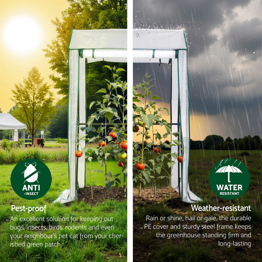 Green Fingers Mini Greenhouse 1.0x0.8x1.5M PE Cover Zipper Door Green