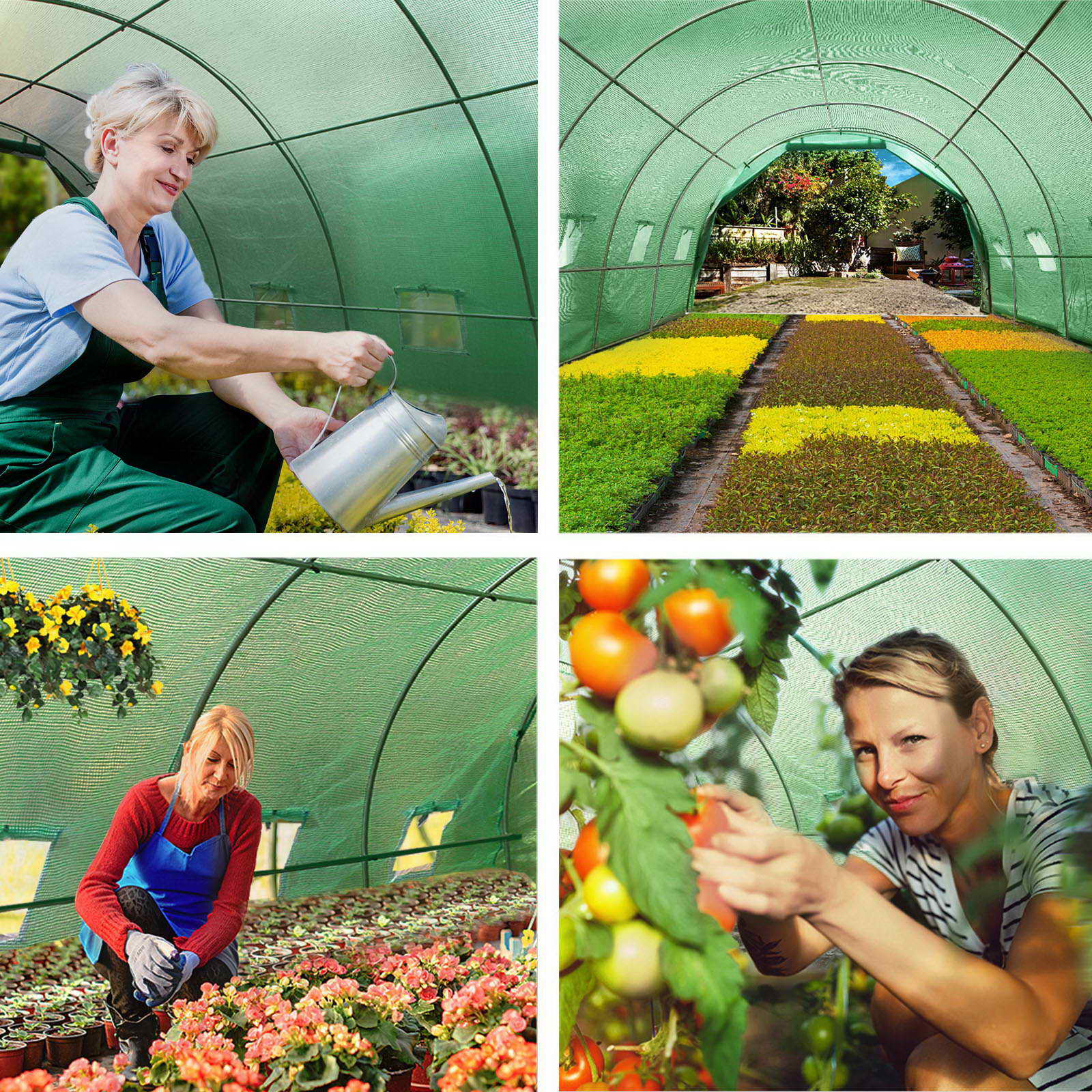 Green Fingers 6x3x2M Walk-In Greenhouse Tunnel Garden Shed Dome