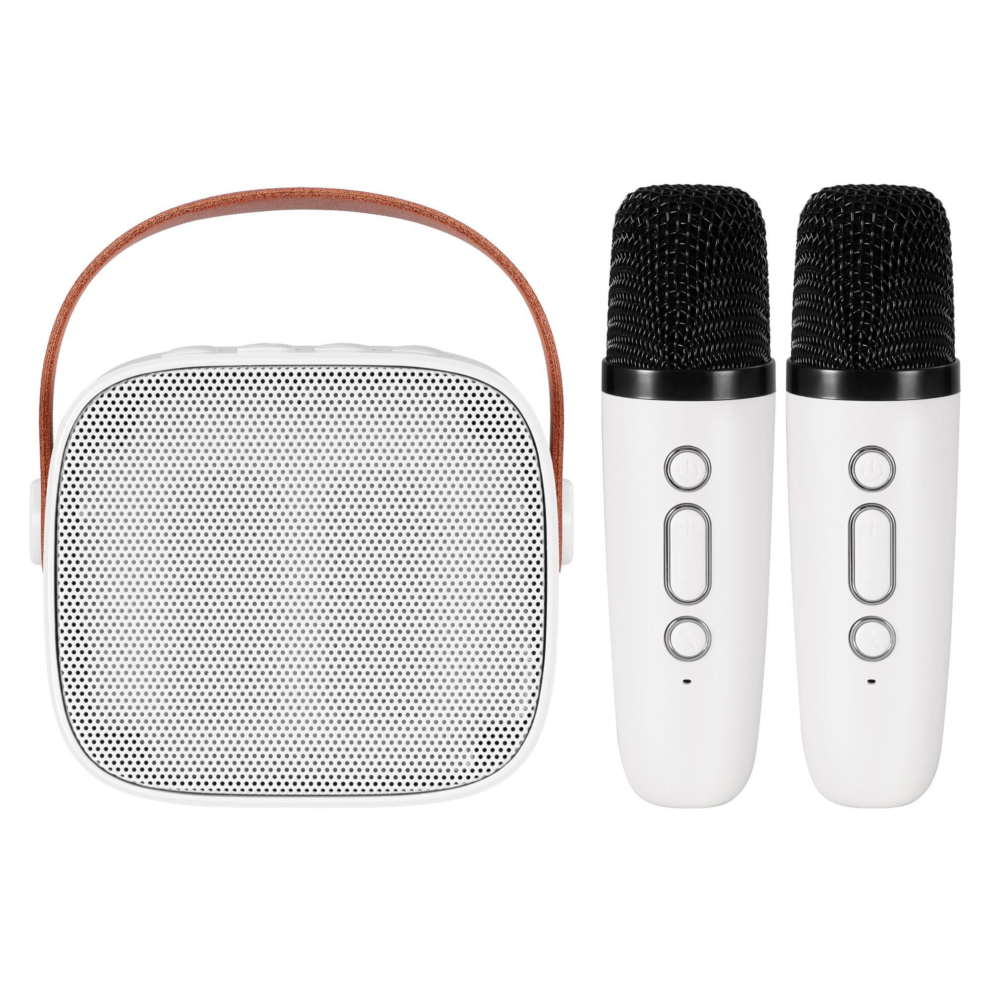 Alpha Mini Portable Karaoke Machine for Adults Kids with 2 Wireless Microphones