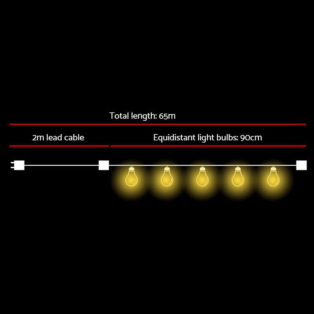 65m LED Festoon String Lights Outdoor Waterproof Garden Decor