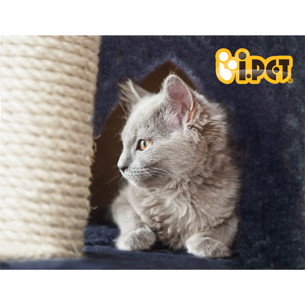 Charcoal 244cm Cat Tower Scratching Post Condo Grey