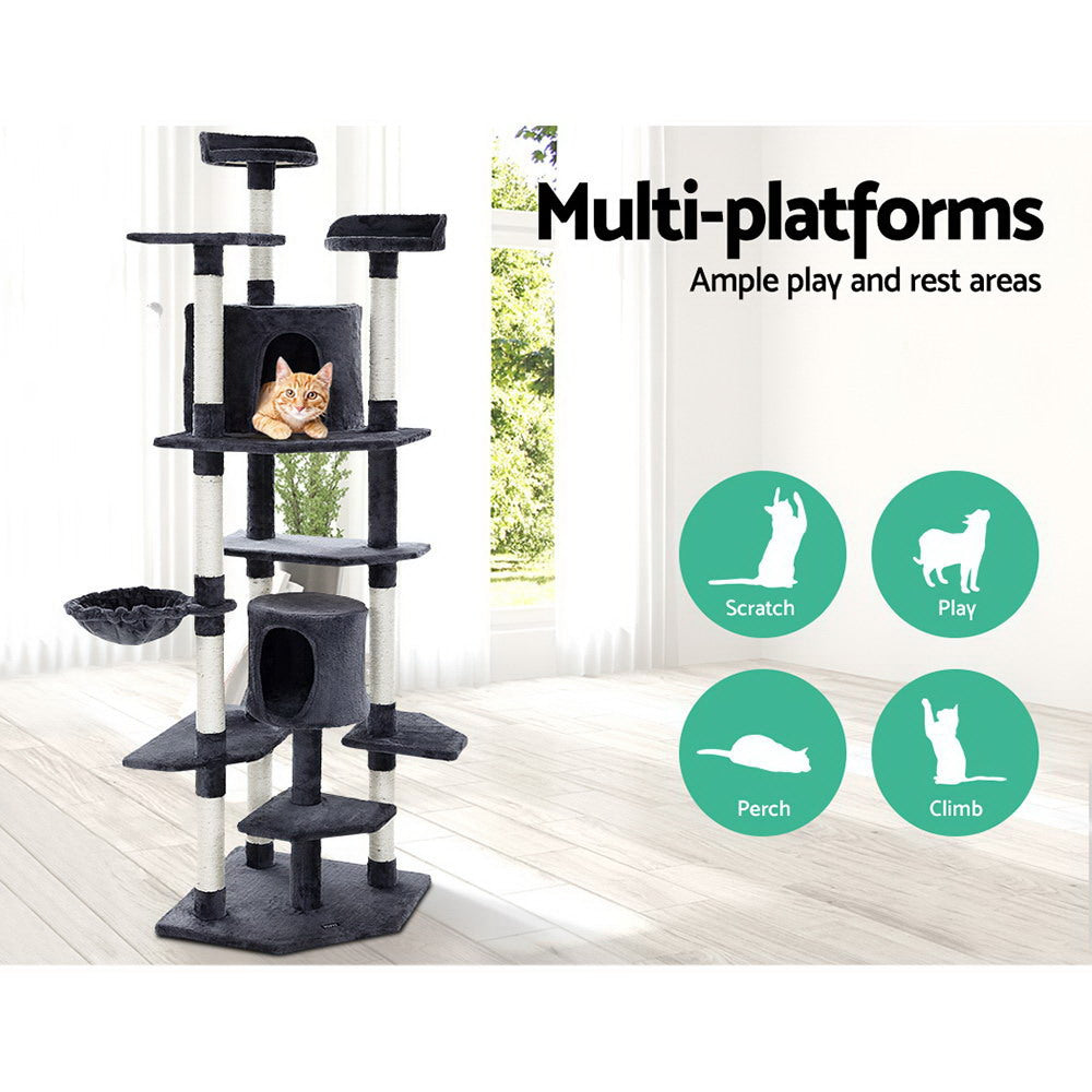 Buddy 203cm Cat Tree Tower Scratching Post Condo Grey