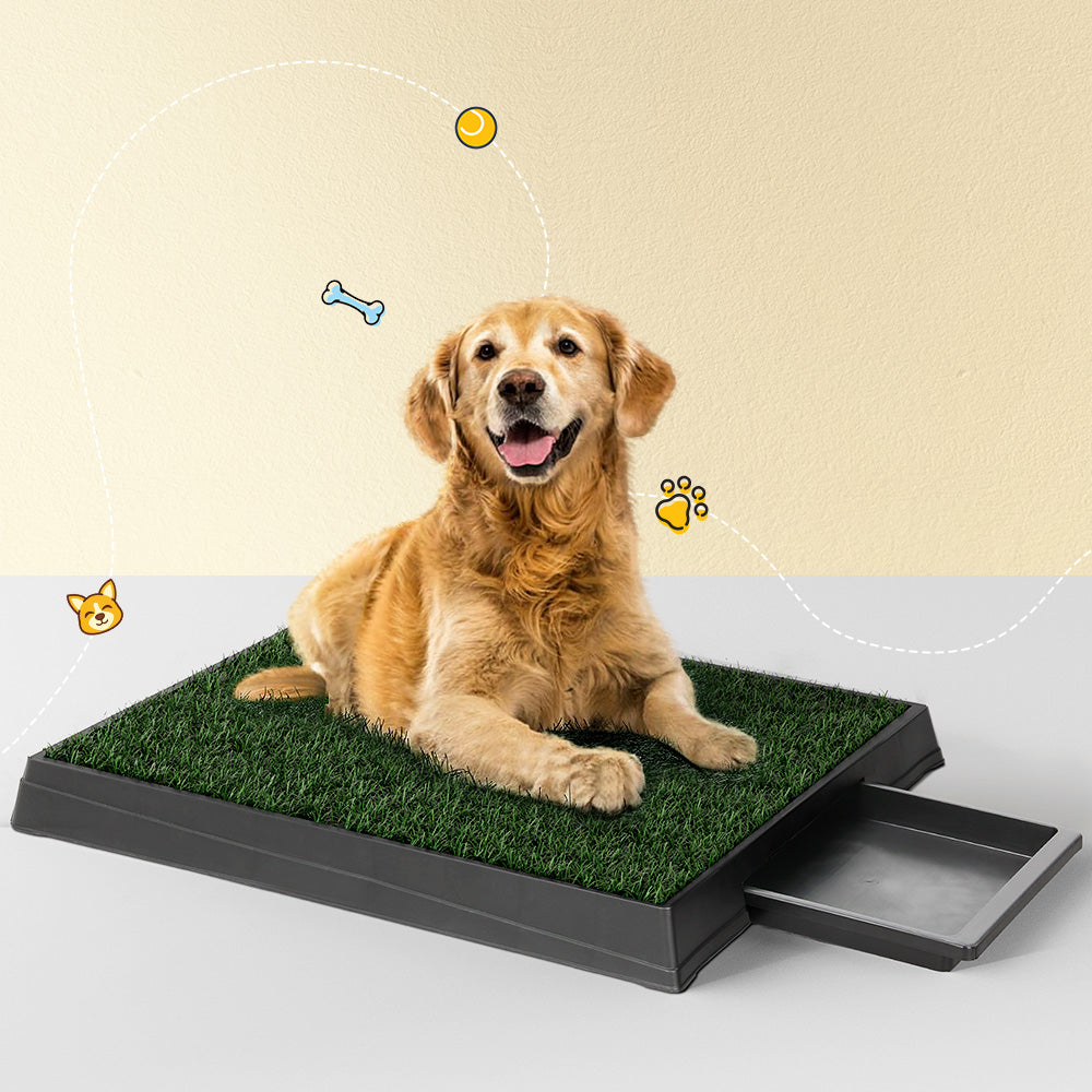 i.Pet Large Dog Potty Training Pad Tray Grass Mat Black/Green