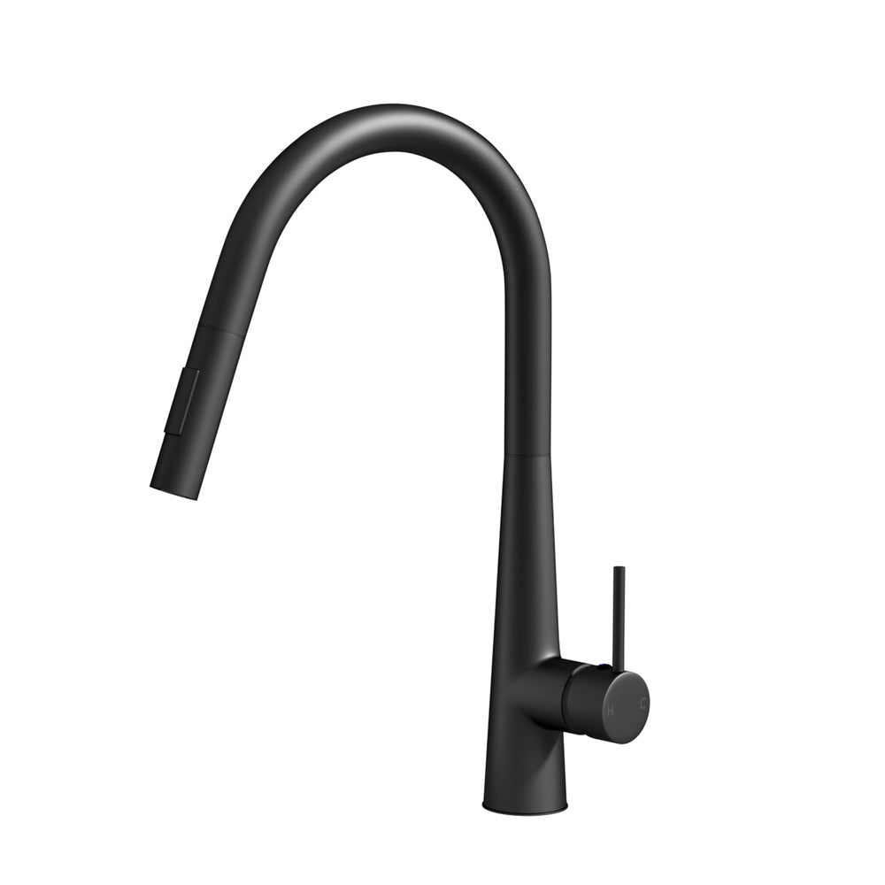 Round Pull-Out Kitchen Mixer Tap 2-Mode Swivel WELS Matte Black