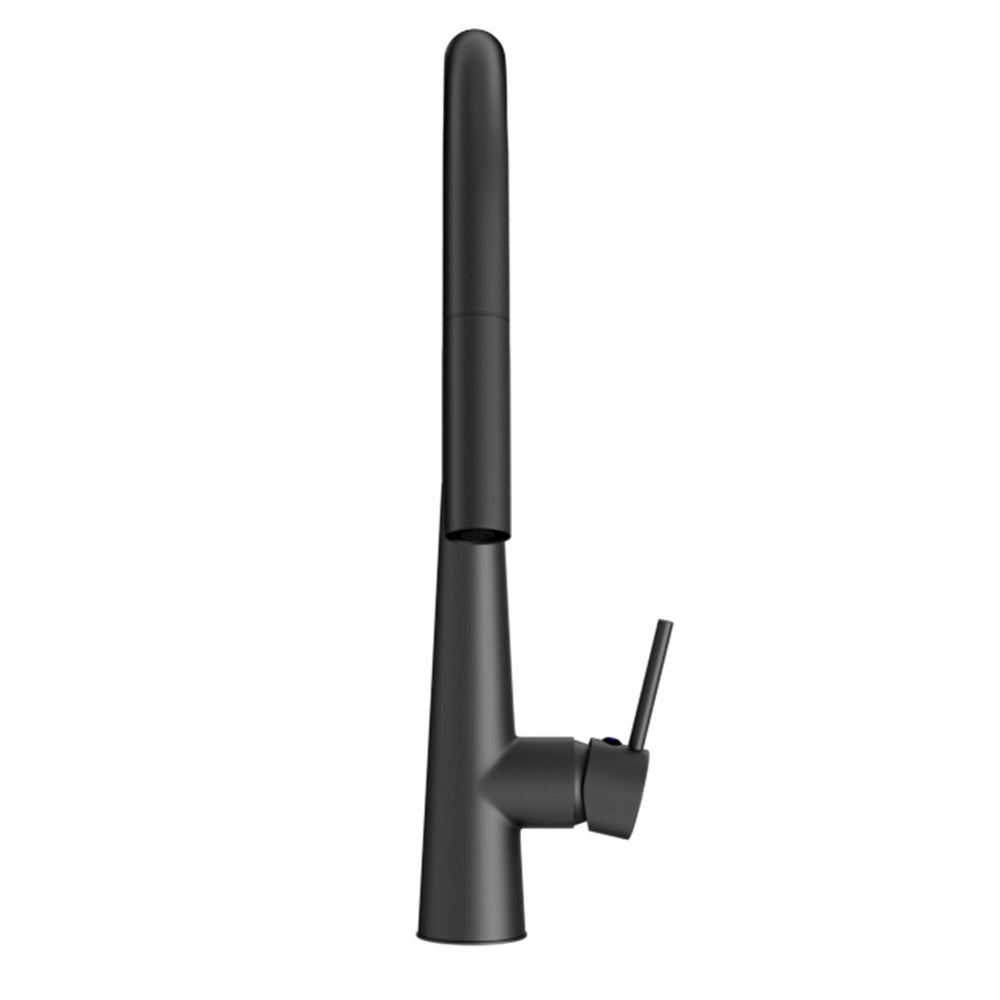 Round Pull-Out Kitchen Mixer Tap 2-Mode Swivel WELS Matte Black