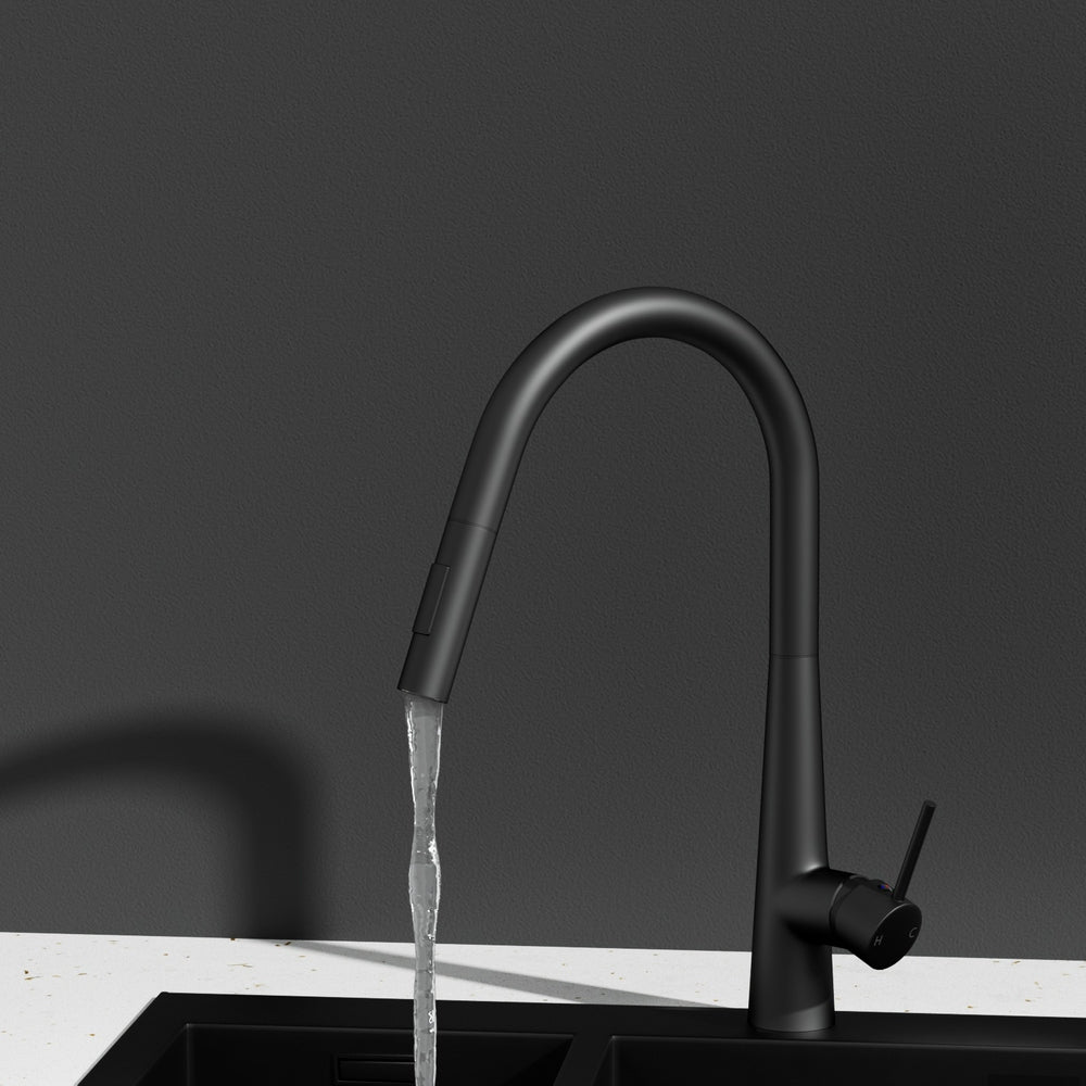 Round Pull-Out Kitchen Mixer Tap 2-Mode Swivel WELS Matte Black