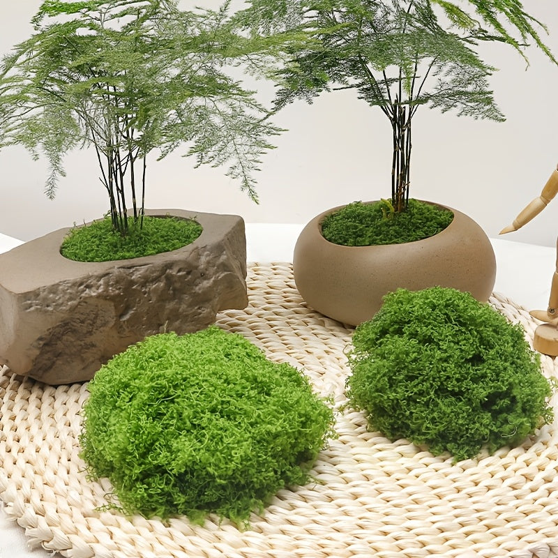 diy artificial moss lawn-Light Green Filamentous Moss 30g