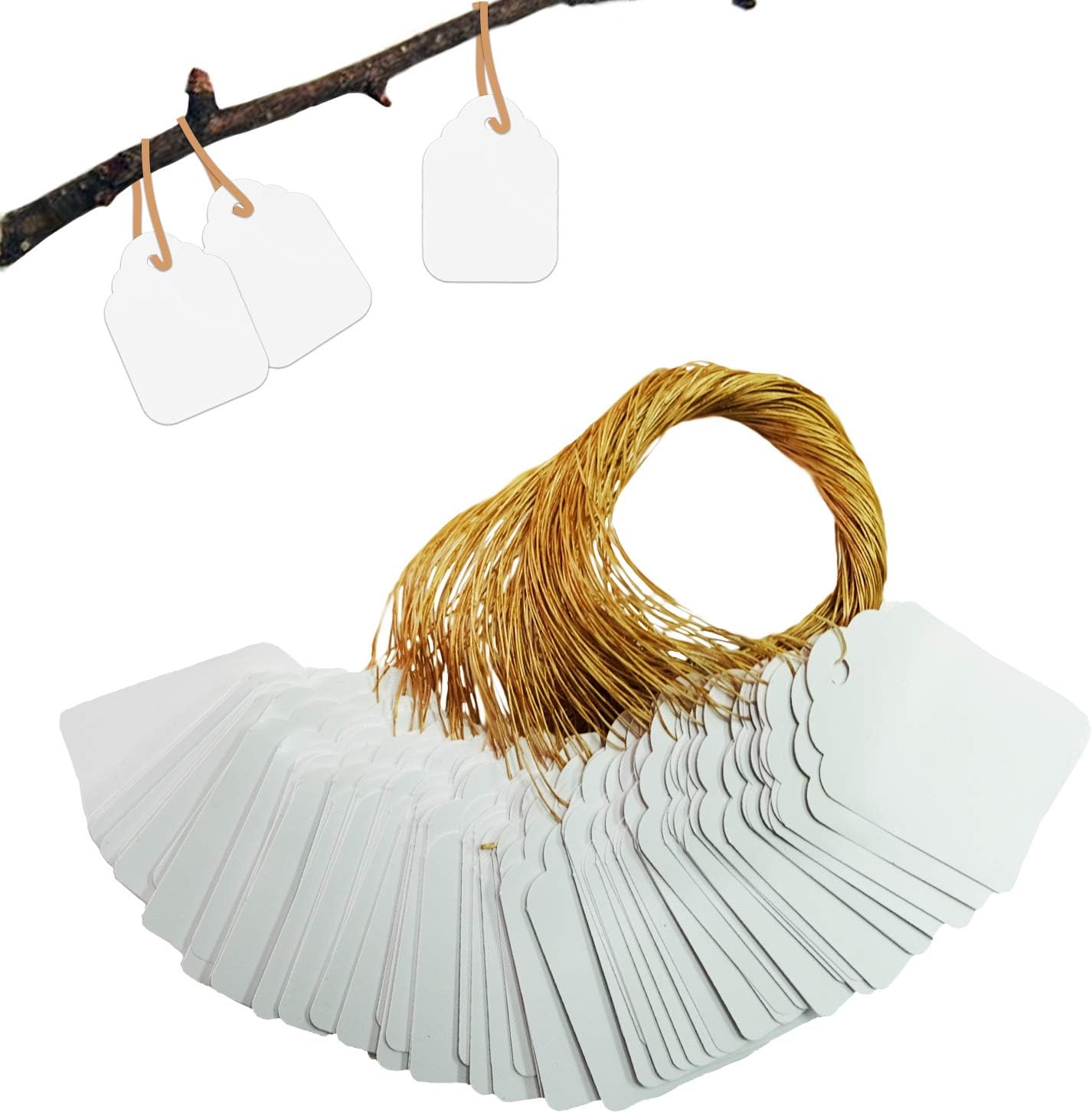 Plant Hanging Tags 100pcs Tags with String Reusable Plant Labels Markers Plastic Garden Signs Garden Markers for Outdoor 2 Inch, White