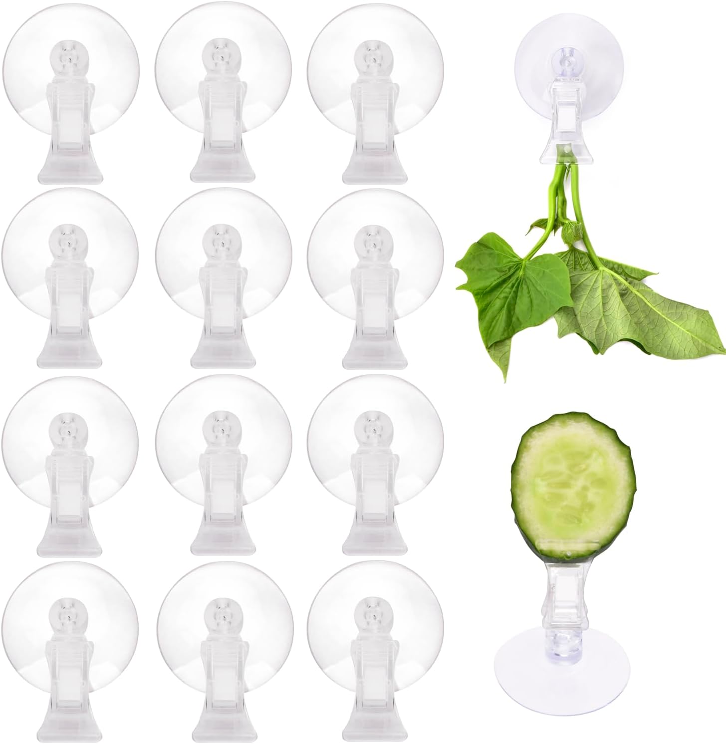 12Pcs Veggie Clips Aquarium Seaweed Clips Fish Food Holder Wide Mouth Clips Plants Suction Cups Algae Clips for Freshwater and Marine Fish Tank Plastic