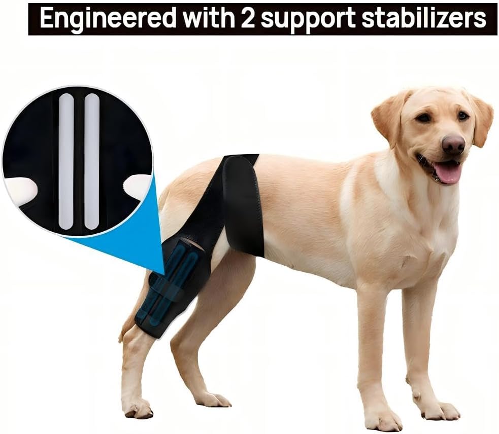 Dog Knee Brace for Torn ACL Hind Leg,Comfortable and Adjustable Support Brace with Two Stabilizer,Dog Leg Braces for Back Leg with Extra Support,Arthritis Relief and Surgery Recovery S