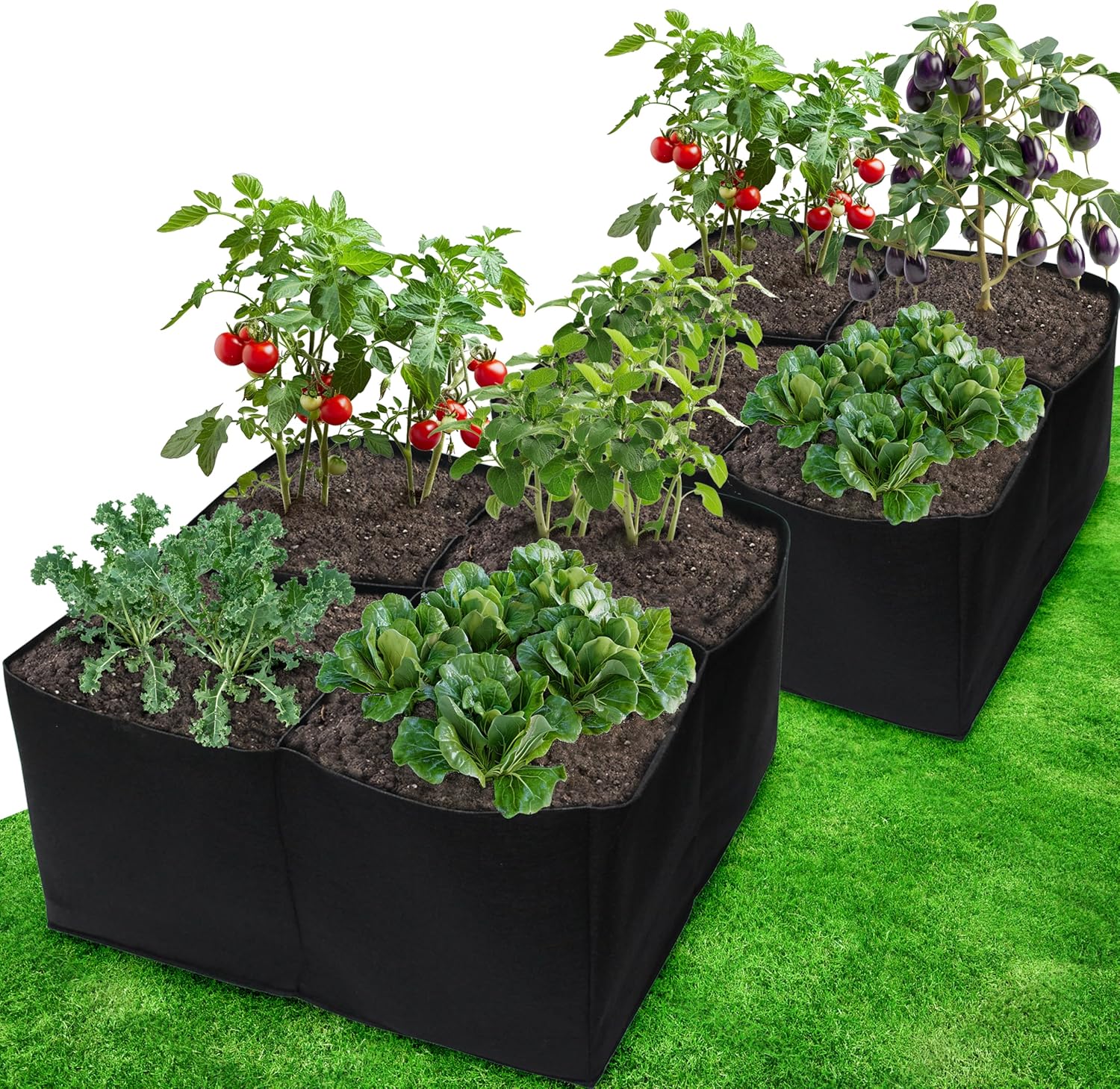 2 Pack Fabric Raised Garden Beds, 2x2x1 FT – 4 Grids Grow Bed for Square Foot Gardening, Planting Box for Vegetables, Herbs, Flowers