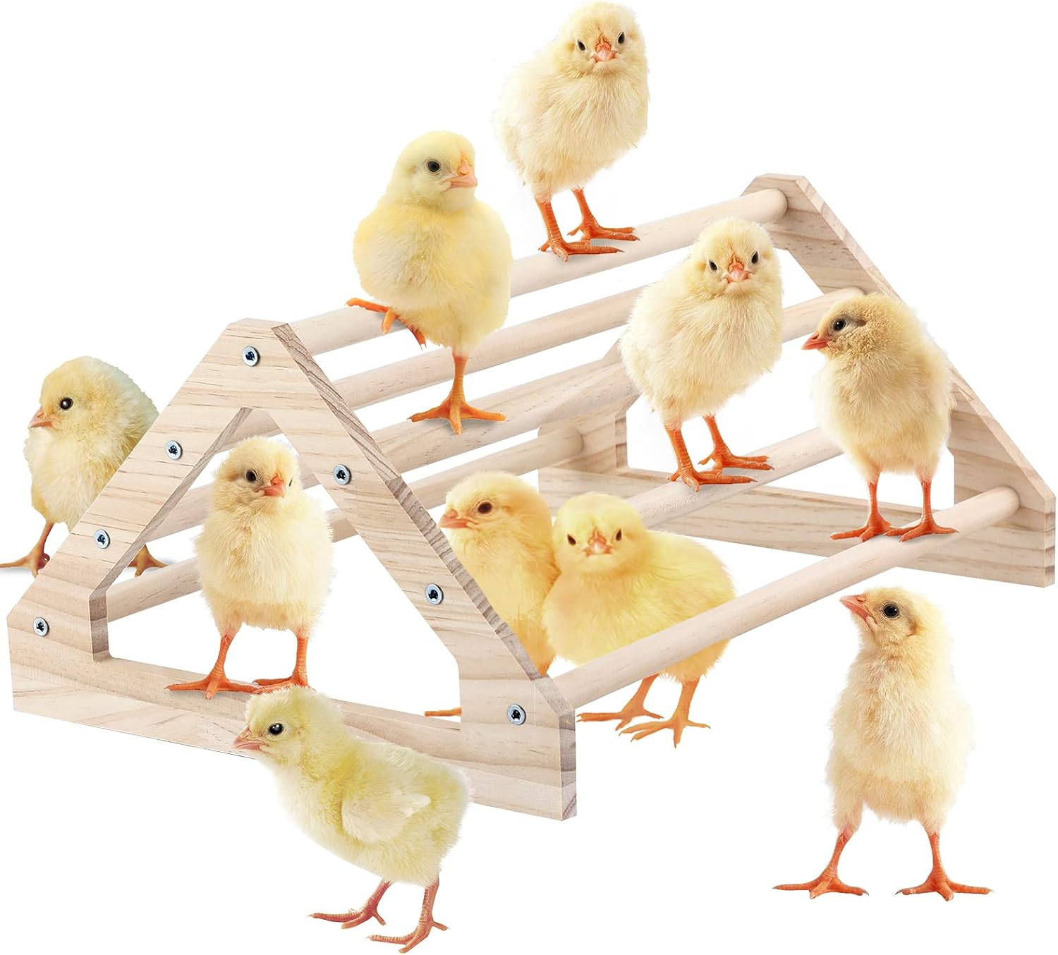 Wooden Chick Perch Stand, Pine Roosting Bar, Jungle Gym Perch Toys for Chicken Coop & Brooder, Bird Perch for Baby Chicks & Parrots Large