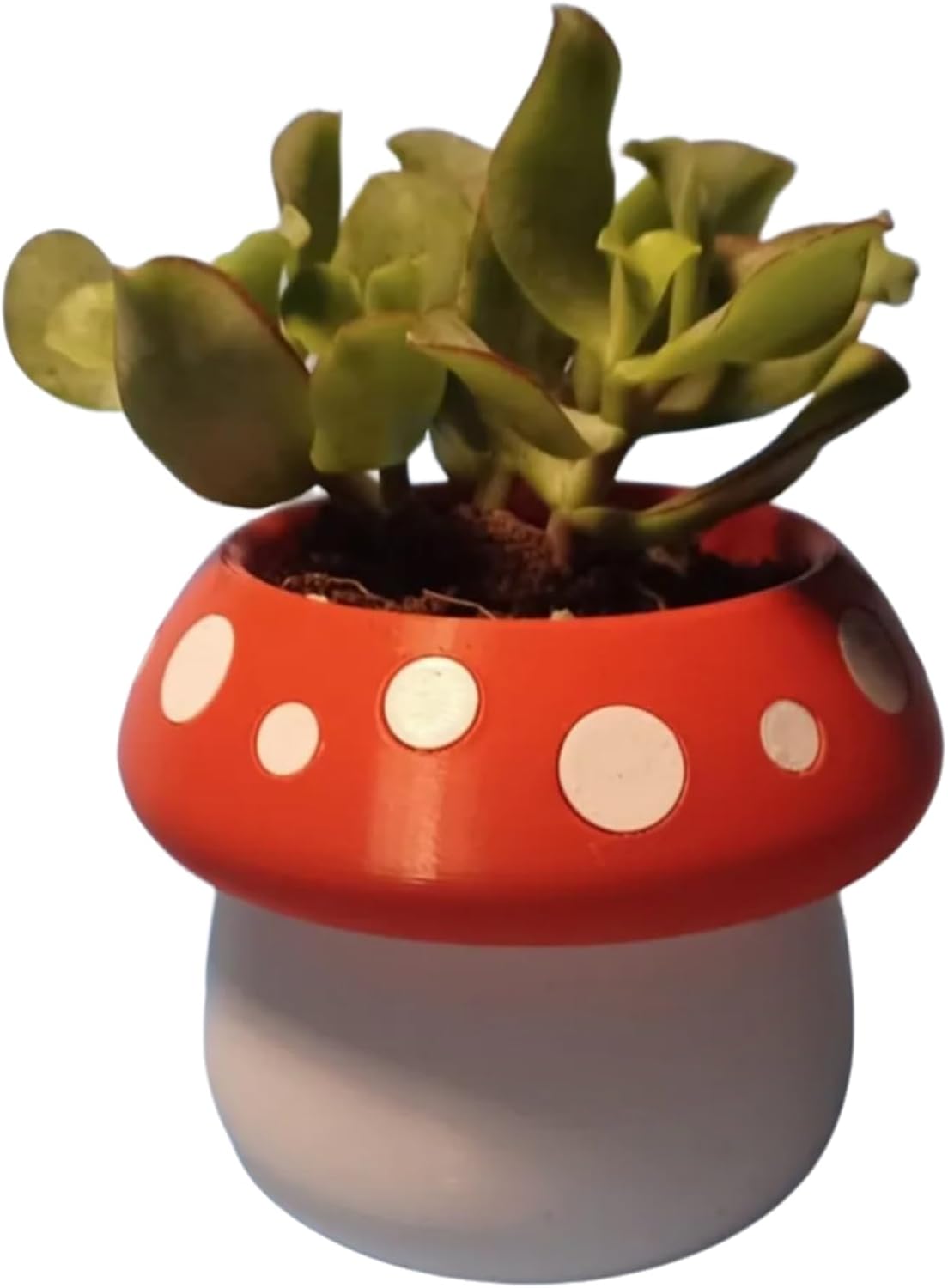 Cute Mushroom Indoor Plant Pots - 3.15 Inch Fower Pot Small Succulent Green Plants Pot, Cute Plant Gifts for Plant Lovers