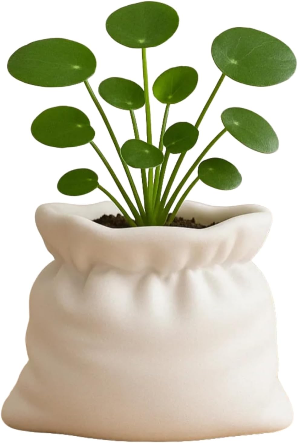 Unique Cumpled Fabric Sack Indoor Plant Pots - 3.54 Inch Fower Pot Small Succulent Green Plants Pot, Cute Plant Gifts for Plant Lovers