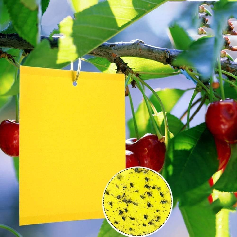 Dual-Sided Yellow Sticky Traps for Capturing Flying Plant Insects Like Fungus Gnats, Flying Aphid, Whiteflies, Leaf Miners, Other Flying Plant Insects 6x10 Inches, Twist Ties Included 60-Pack