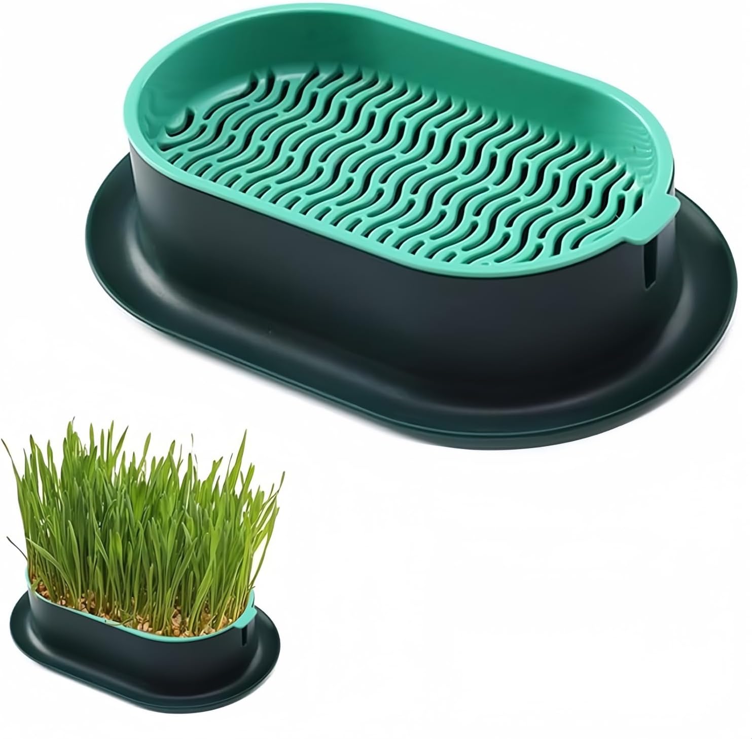 Cat Grass Planter Hydroponic Cat Grass No Seeds Included Catnip Wheatgrass Seed Sprout Tray Nursery Plant Plng Box for IndoorSoill