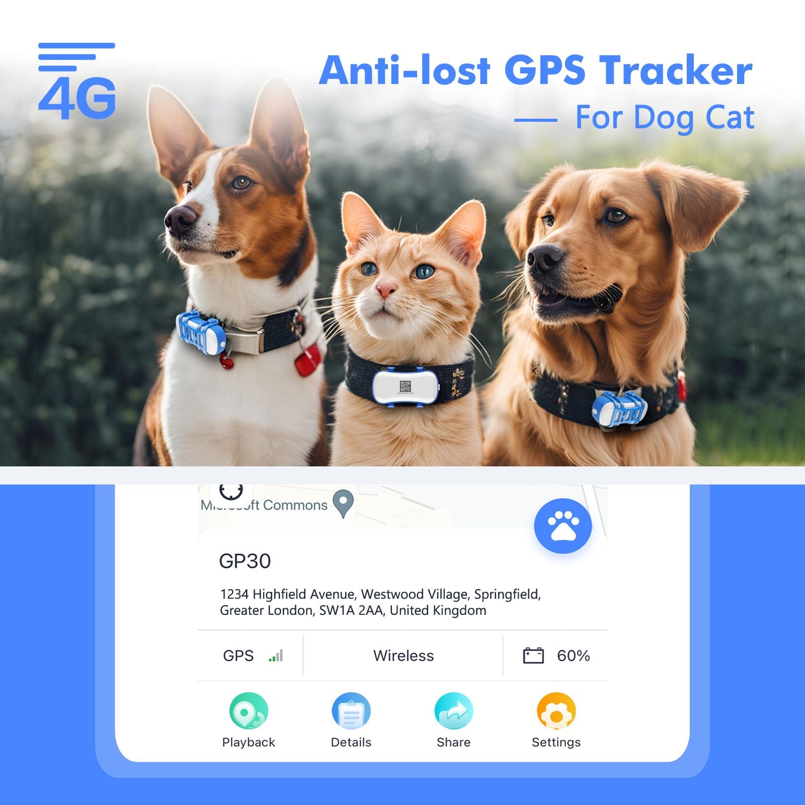 4G Dog Cat GPS Tracker - Waterproof Smart Locator with iOS/Android App, Live Tracking & Light/Sound Search