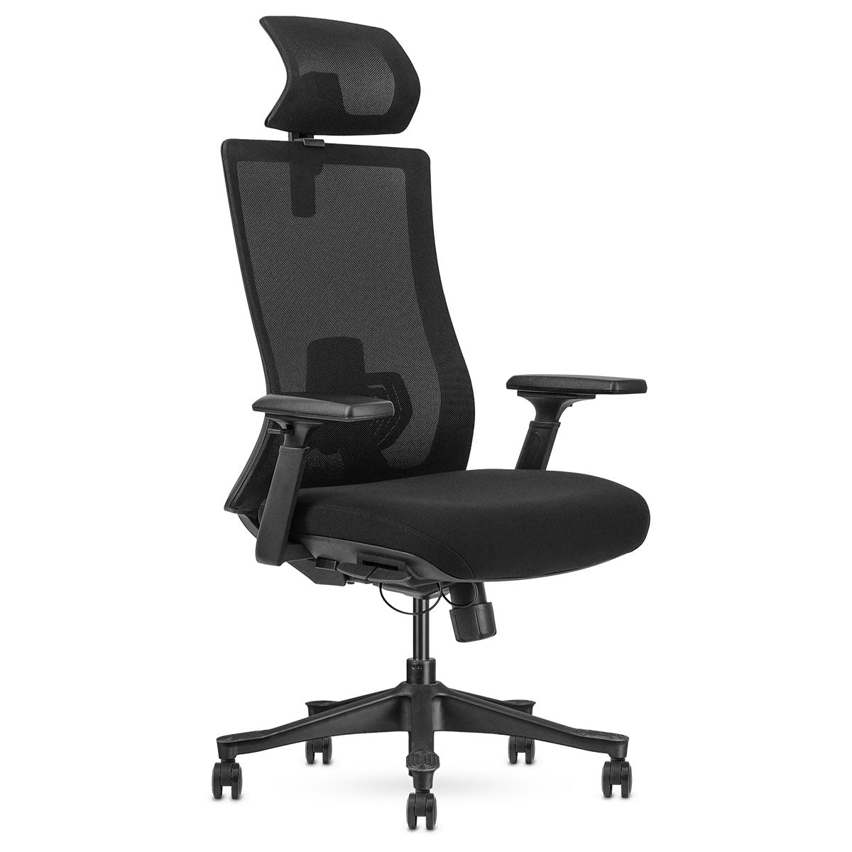 DM9 Ergonomic Mesh High Back Office Chair Adjustable Lumbar