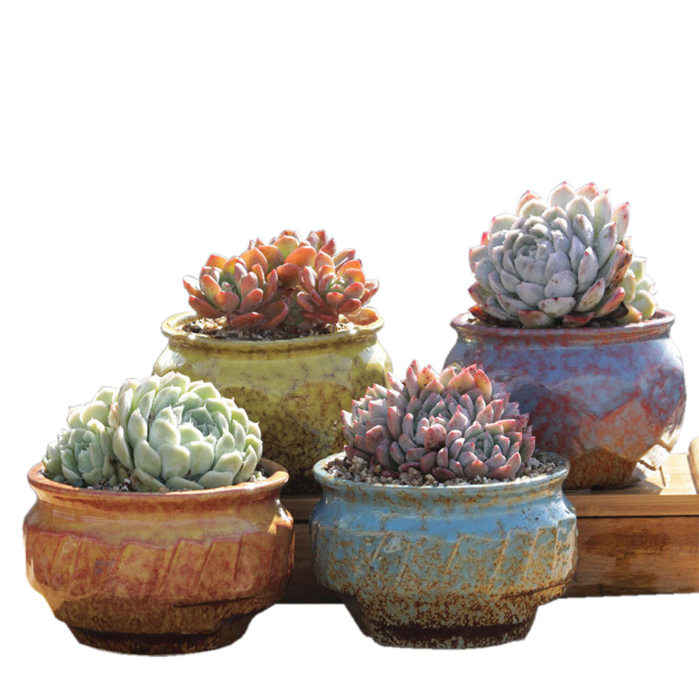 4/5/6 Pots Set Ceramic Clay Pottery Pots Succulent Flower Planter Draining Hole Style 01# 4 Pots Set