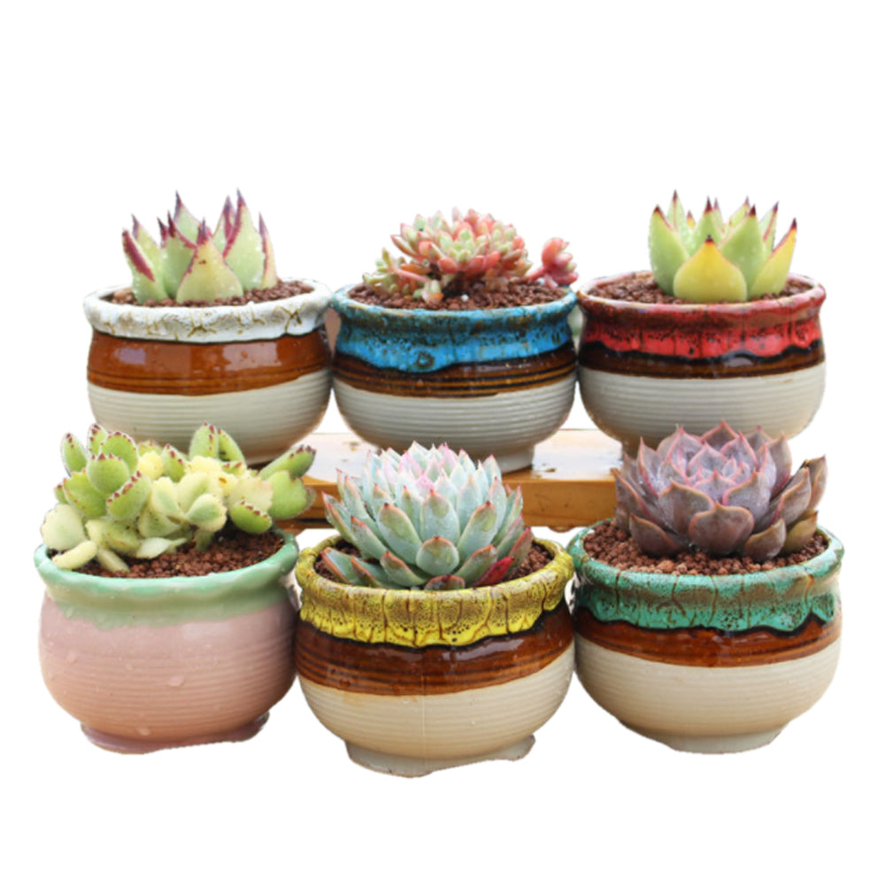 4/5/6 Pots Set Ceramic Clay Pottery Pots Succulent Flower Planter Draining Hole Style 05# 6 Pots Set