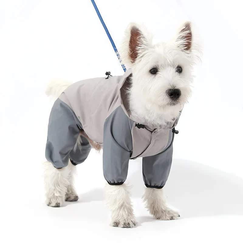 Waterproof Dog Raincoat with Hidden Leash Hole - Windproof and Comfortable for Outdoor Walks, Size:S Back Length 20cm/7.87in, Bra 31cm/12.20in Grey
