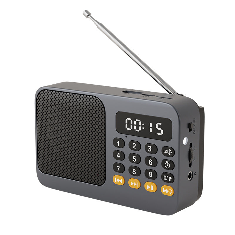 Portable Digital Music Player & FM Radio,4 Playback Modes, LED Flashlight Gray