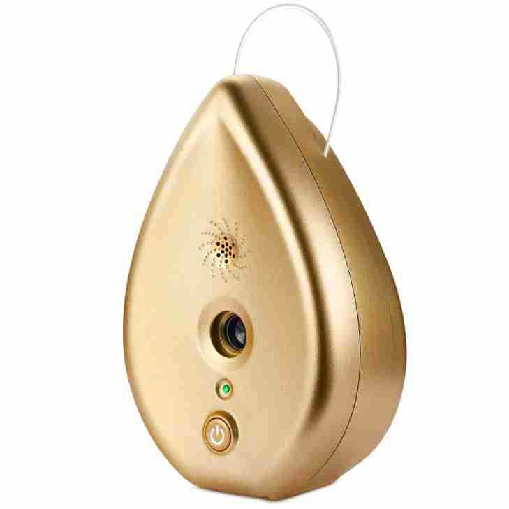 Automatic Ultrasonic Dog Bark Deterrent - Up to 50ft Range, Safe Frequency Conversion, Indoor Use gold