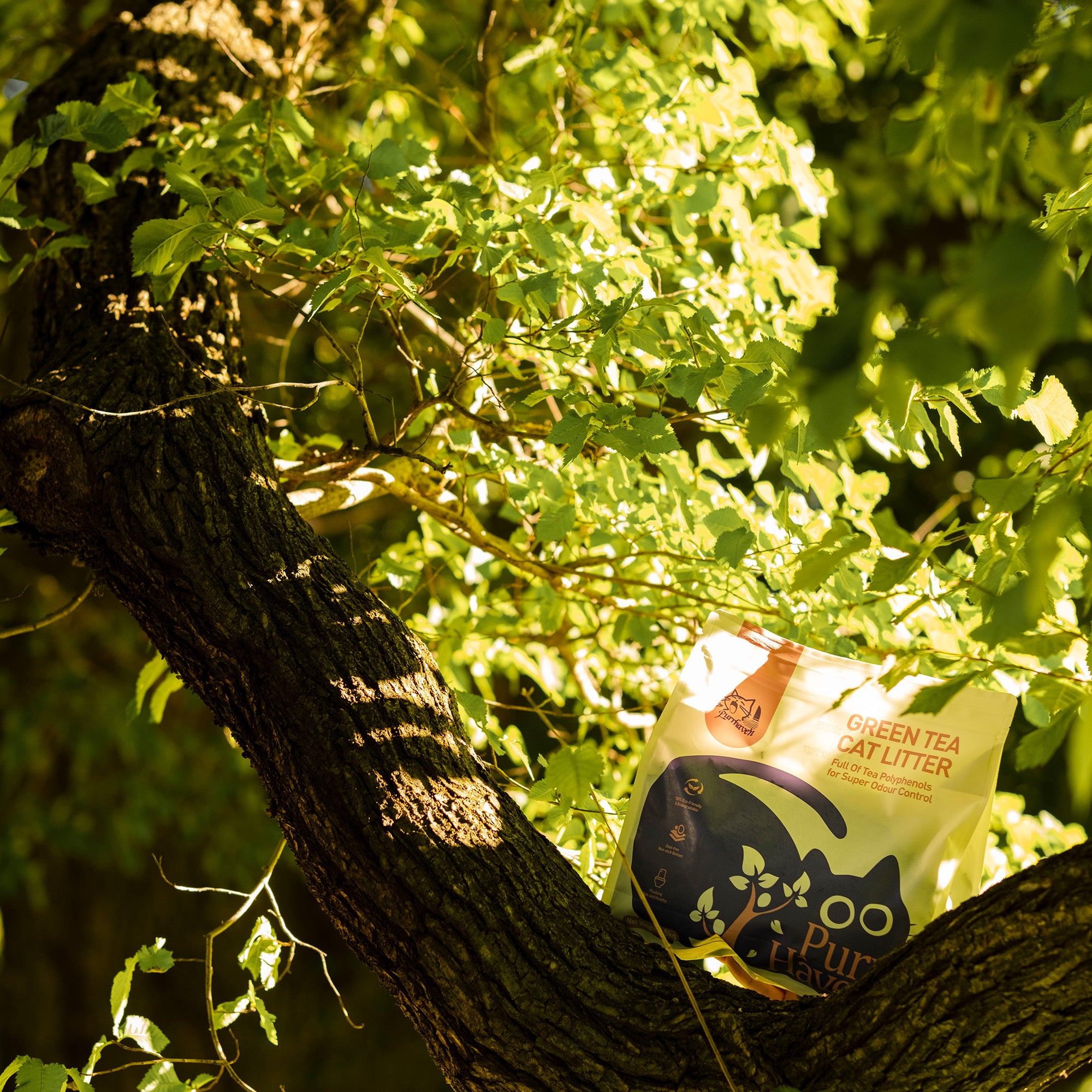 PurrHaven Green Tea Clumping Cat & Kitty Litter, 15kg 6 Pack ,Dust Free,Natural Flusable,Easy to Clean,Odour Neutraliser,Rapid Liquid Absorption,Non-Toxic Formula