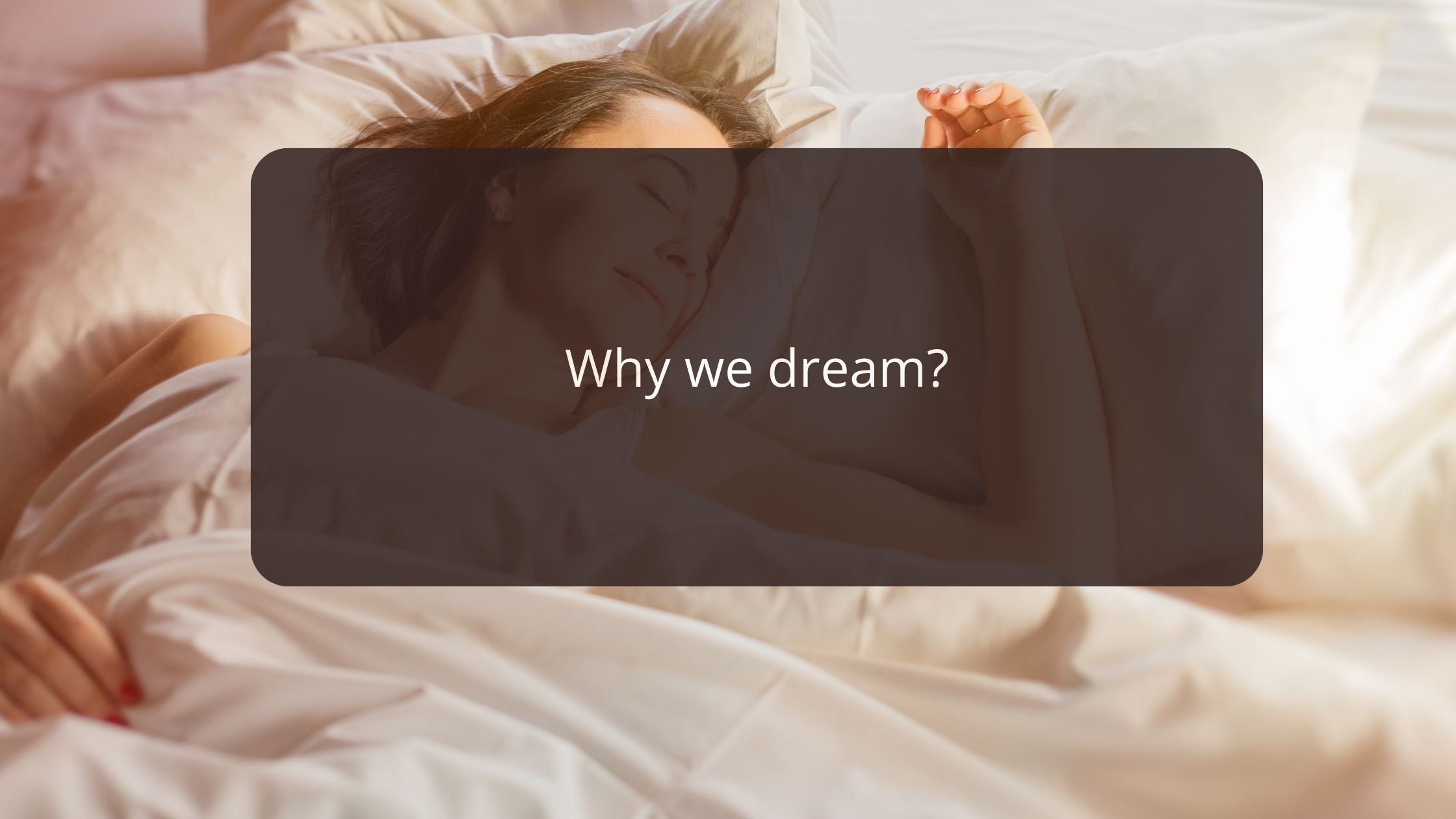 4 Reasons Why We Dream