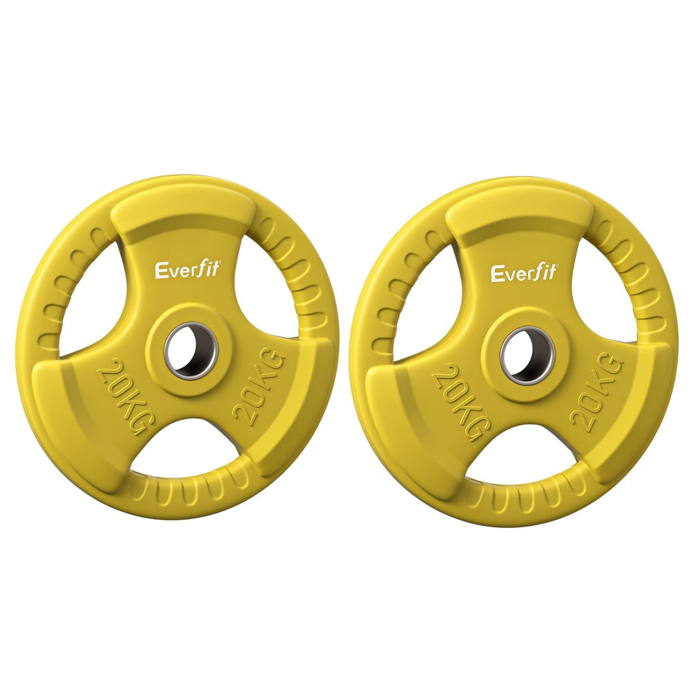 Heavy-Duty Cast Iron Weight Plates 20kgx2 - Everfit