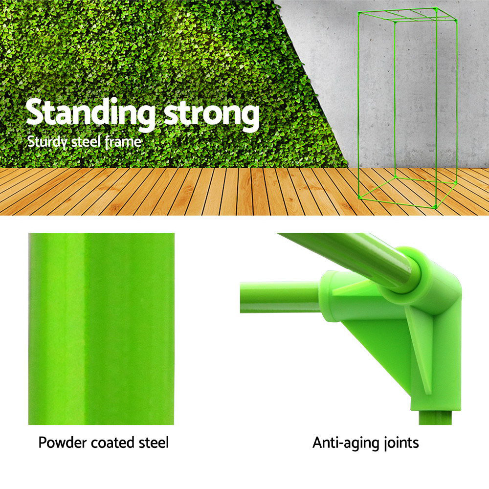 Green Fingers 60x60x140CM Hydroponics Grow Tent Indoor Plant System