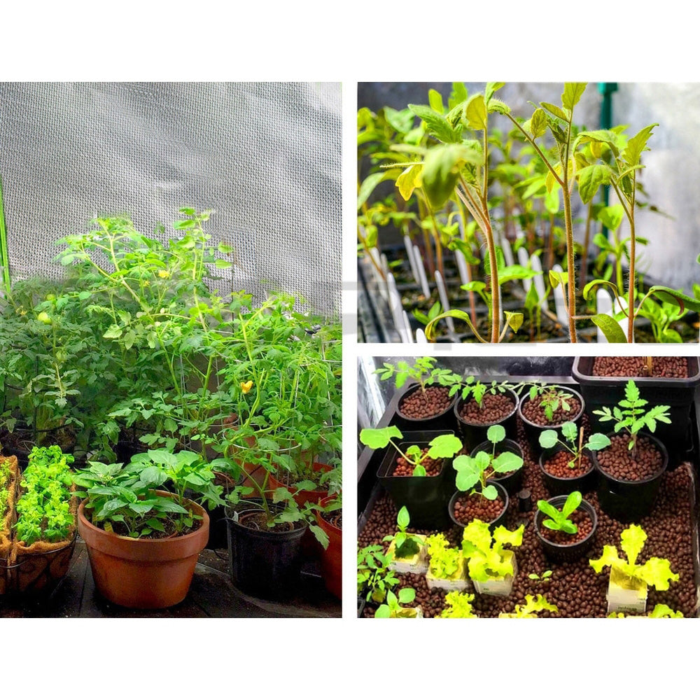 Greenfingers 60x60x90cm Hydroponics Grow Tent Black