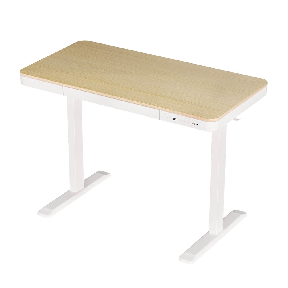 Artiss 120CM Electric Standing Desk Dual Motor Oak