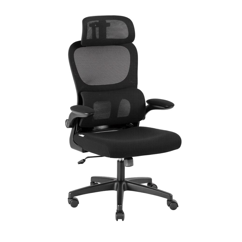 Artiss Ergonomic Mesh Office Chair with Lumbar Support Black