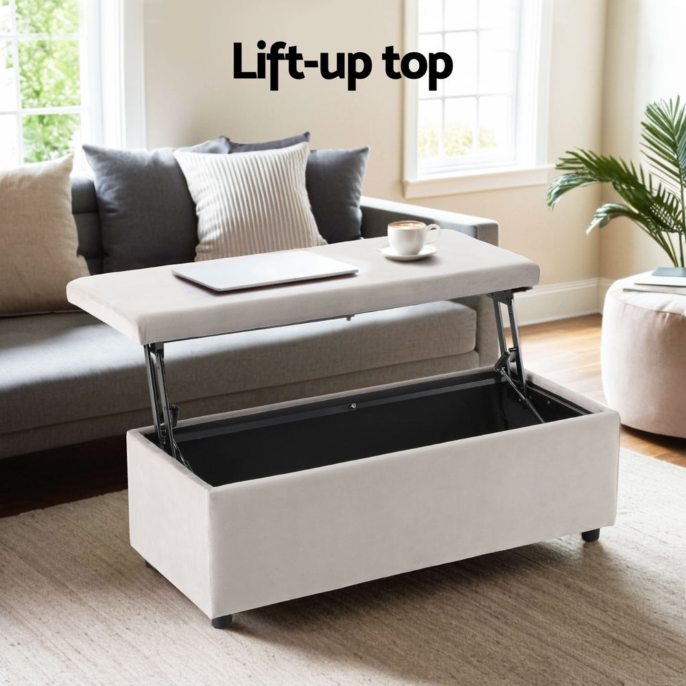 Artiss 97cm Velvet Storage Ottoman Blanket Box Taupe
