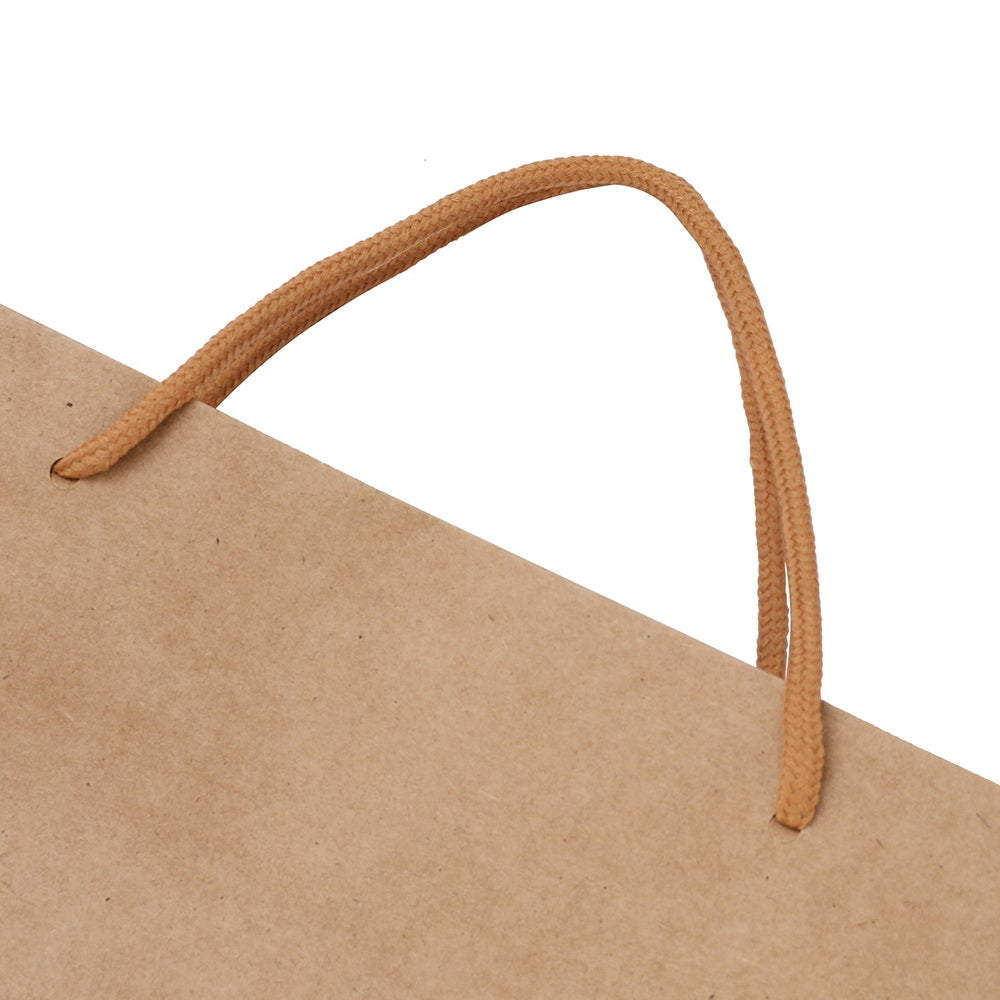 50pcs Bulk Kraft Paper Bags Pack Brown Shopping Retail Gift Bags Reusable Brown