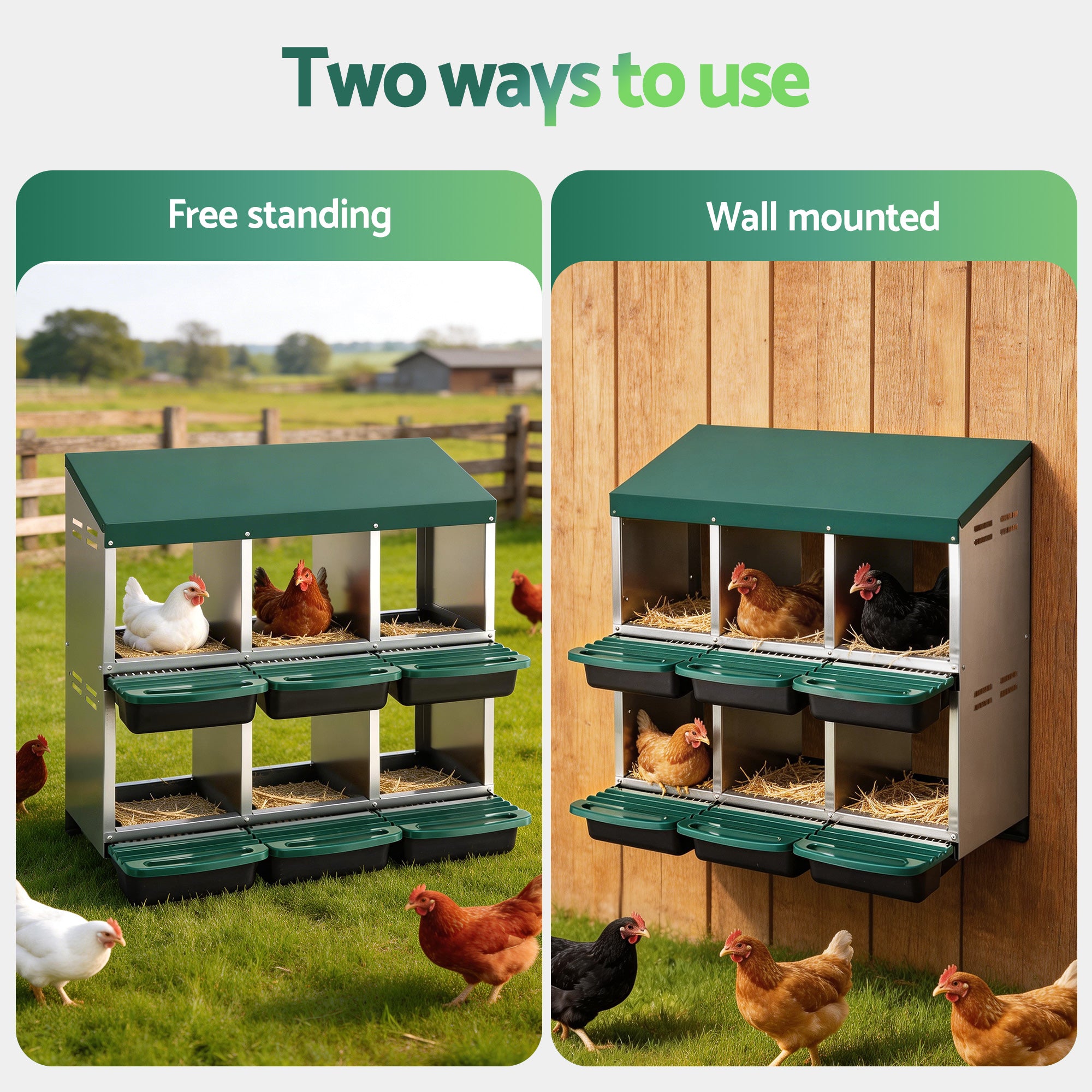 i.Pet Chicken Nesting Box Roll Away Metal Nesting Box Wall Mounted 6 Holes Green