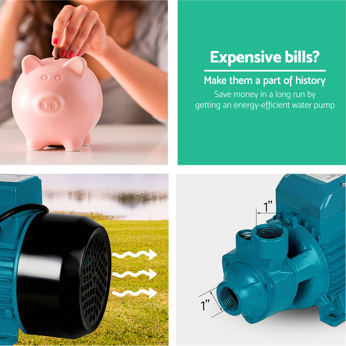 QB80 Peripheral Water Pump 750W Garden Irrigation Black