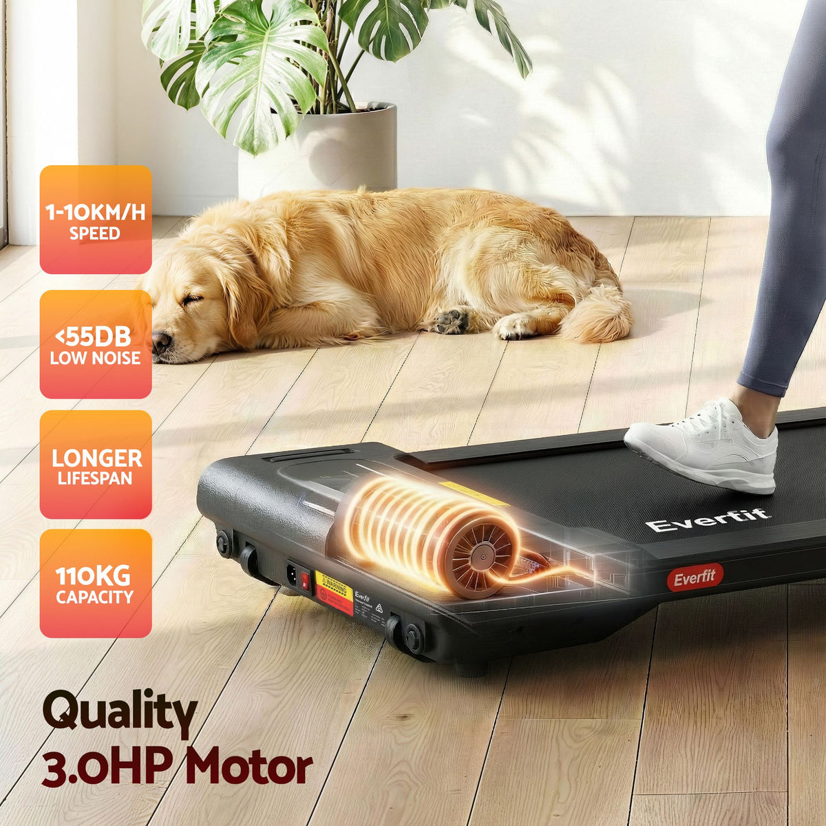 Everfit 2-in-1 Walking Pad Treadmill with 38cm Belt