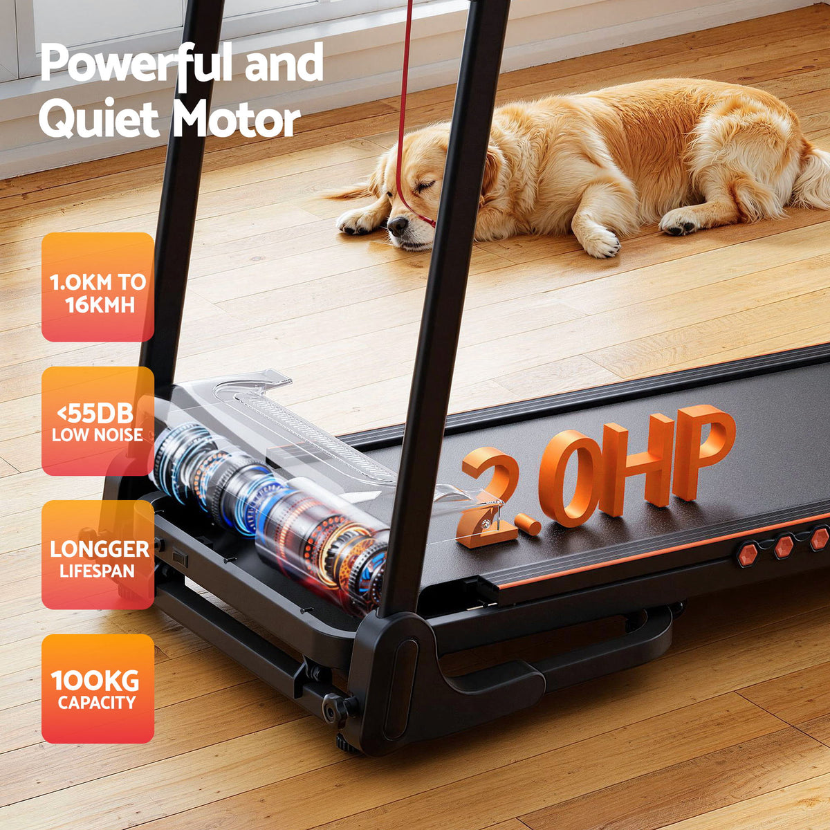 Everfit Foldable Electric Treadmill Home Gym Incline 390mm