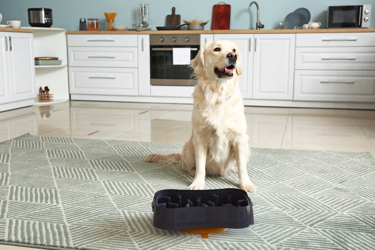 Marley Slowappy Slow Feeder Bowl - Dark Grey
