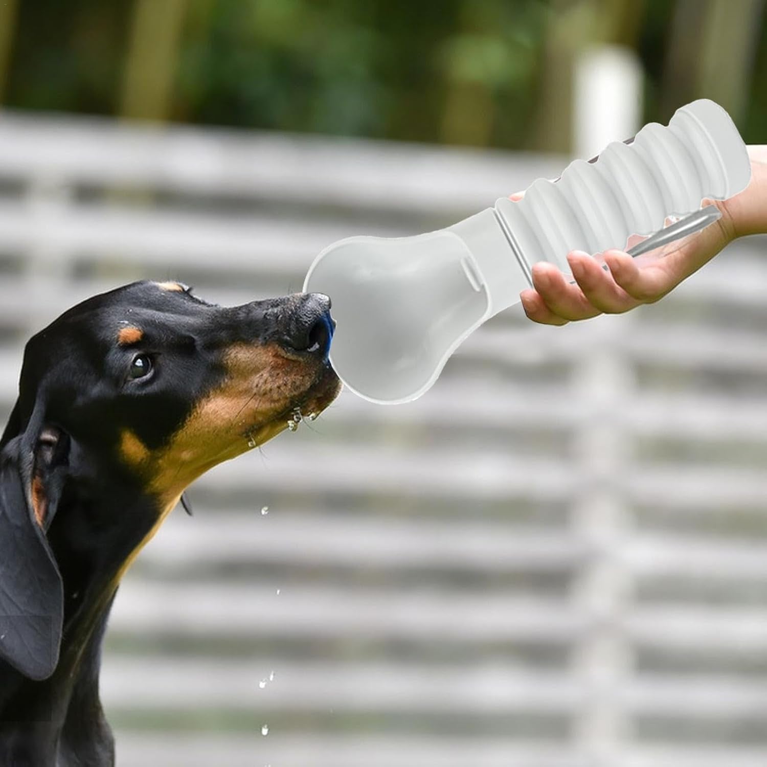 Pet Drinking Fountain - Foldable - Portable - Outdoor - 1pc