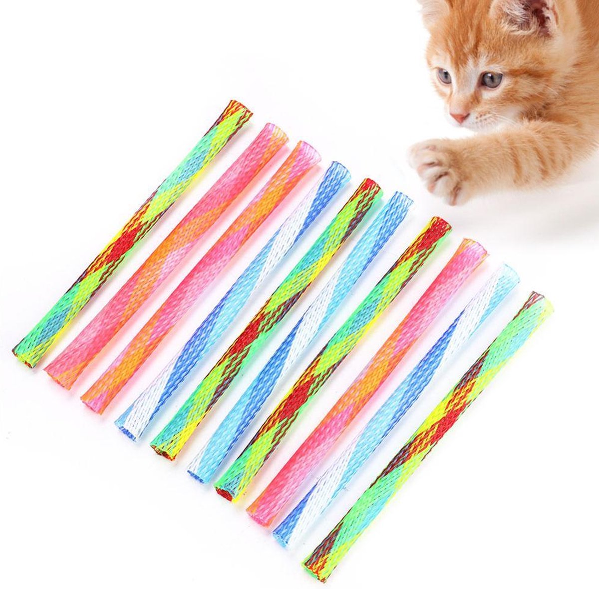 Boinks Springs – 10 Cat Springs – Springs – Various Colors