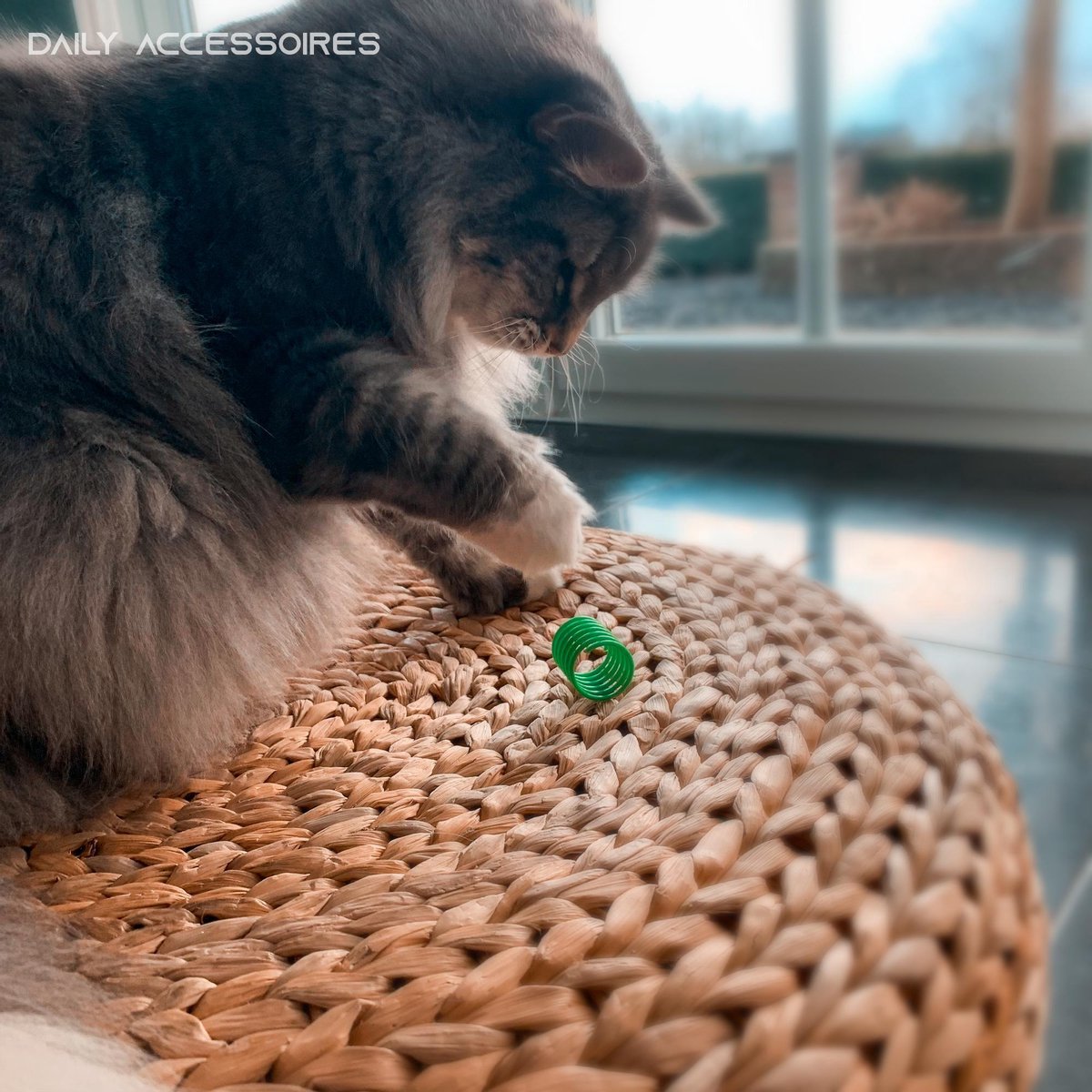 Cat Toys | Cat Springs | Cat Jumping Springs | Spring | Cat Spring | Set of 4
