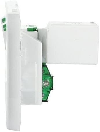 Iconic 250V 10A Horizontal Mount Dual USB Charger Twin Switched Socket