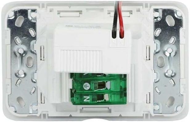 Iconic 250V 10A Horizontal Mount Dual USB Charger Twin Switched Socket