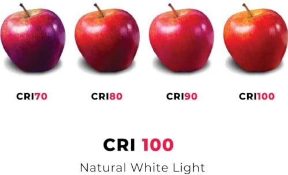 Osram 64432 Halostar Starlite 2000 GY6.35 35W 12V 929 Extra Warm White Best Colour Rendering